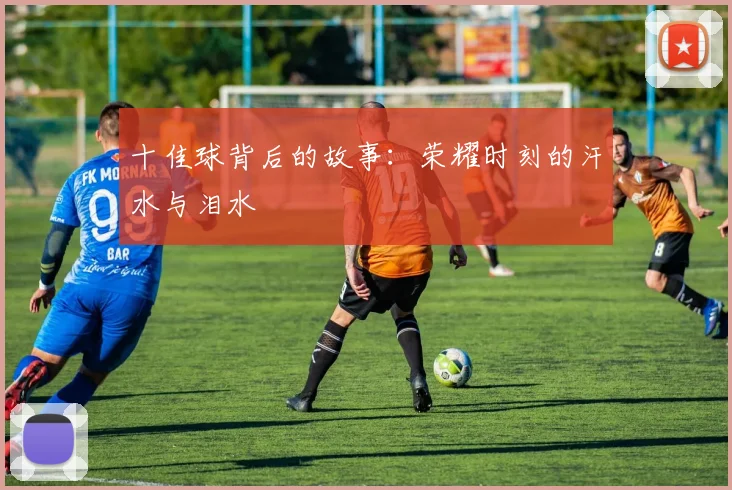 十佳球背后的故事：荣耀时刻的汗水与泪水
