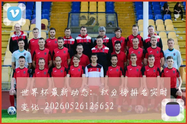 世界杯最新动态：积分榜排名实时变化_20260526125652