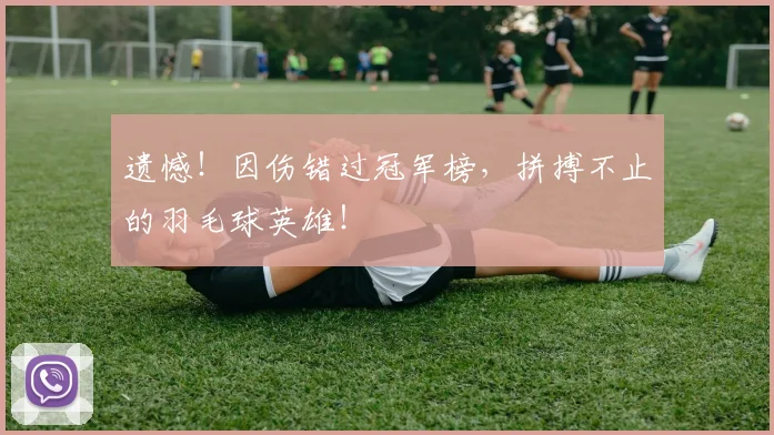 遗憾！因伤错过冠军榜，拼搏不止的羽毛球英雄！