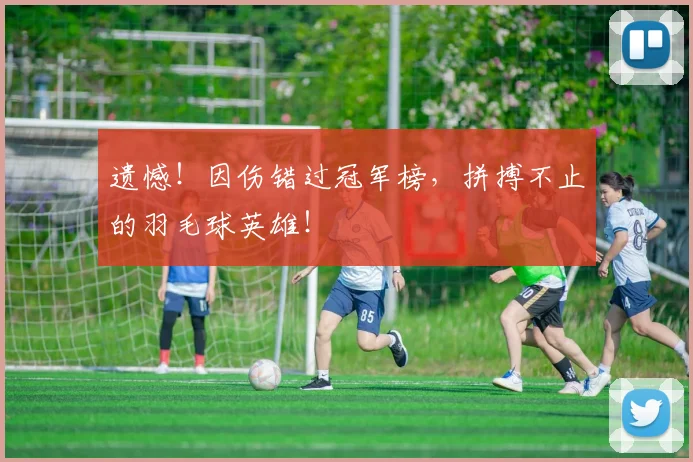 遗憾!因伤错过冠军榜,拼搏不止的羽毛球英雄!